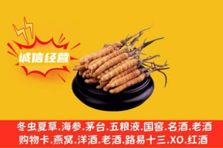 威海回收冬虫夏草